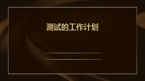 测试的工作计划PPT