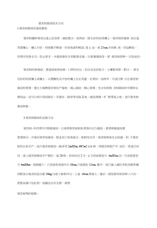 银杏栽培技术.doc