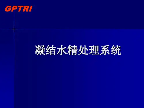 凝结水精处理系统课件