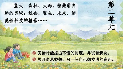 最新人教版部编四年级语文下册第2单元第5 课《琥珀》精品课件PPT 琥珀