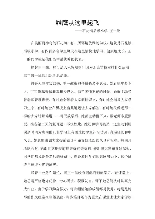 雏鹰从这里起飞