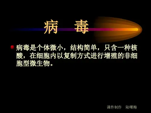 生物课--病毒相关课件