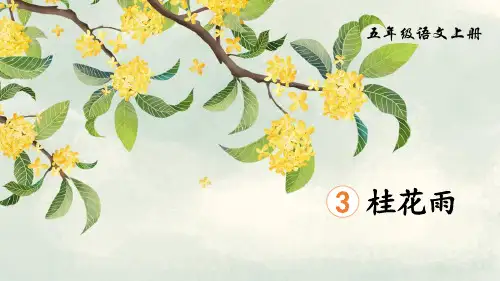 《桂花雨》PPT教学课文课件