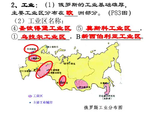 七下地理 俄罗斯工业