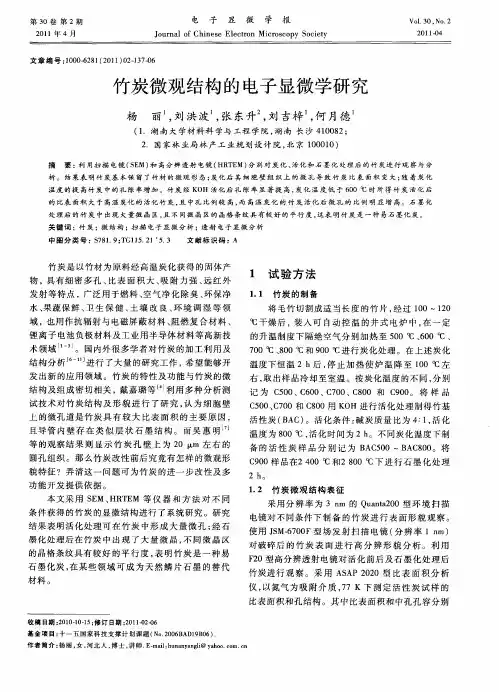 竹炭微观结构的电子显微学研究