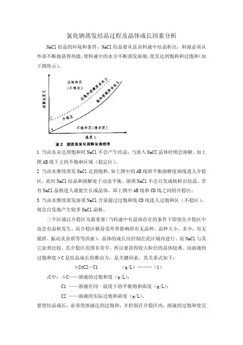 氯化钠蒸发结晶过程及晶体成长因素分析