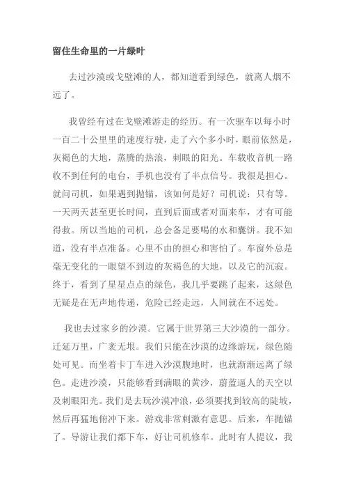 留住生命里的一片绿12