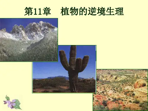 植物逆境生理