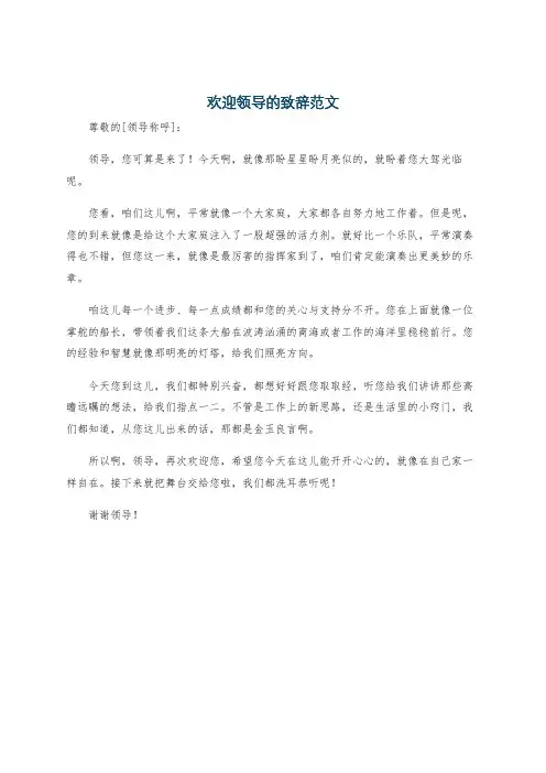 欢迎领导的致辞范文
