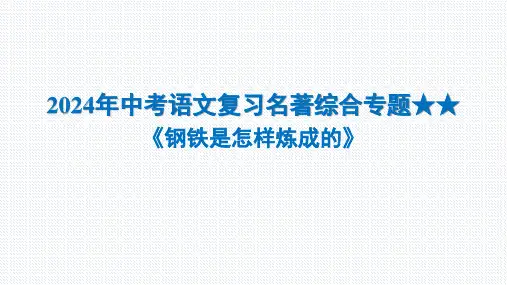 2024年中考语文复习名著综合专题 《钢铁是怎样炼成的》课件(共20张PPT)