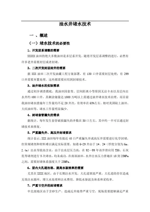 油水井堵水技术