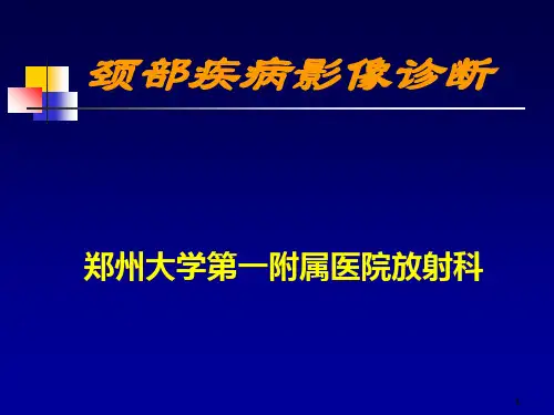 颈部疾病影像诊断PPT课件