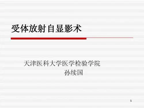 受体放射自显影术2