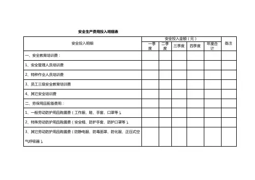 安全生产费用投入明细表