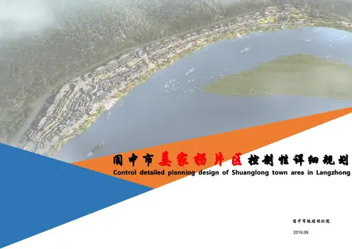阆中市姜家拐片区控规1