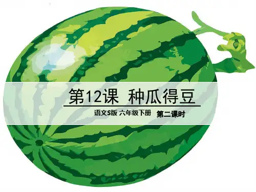 种瓜得豆教学课件