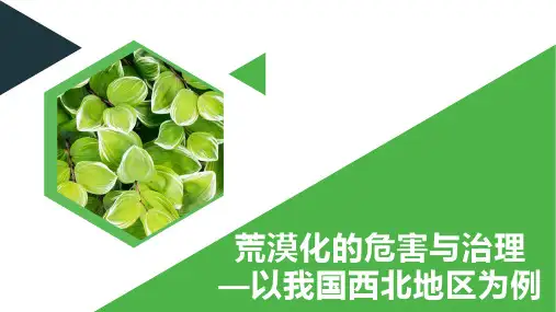 二轮复习荒漠化的危害与治理——以我国西北地区为例(共16张PPT)