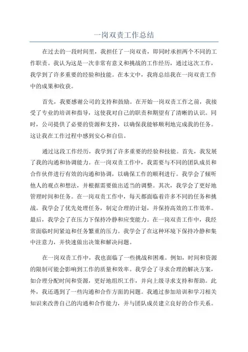 一岗双责工作总结