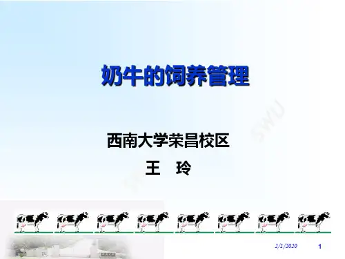 奶牛的饲养管理动医-PPT精品