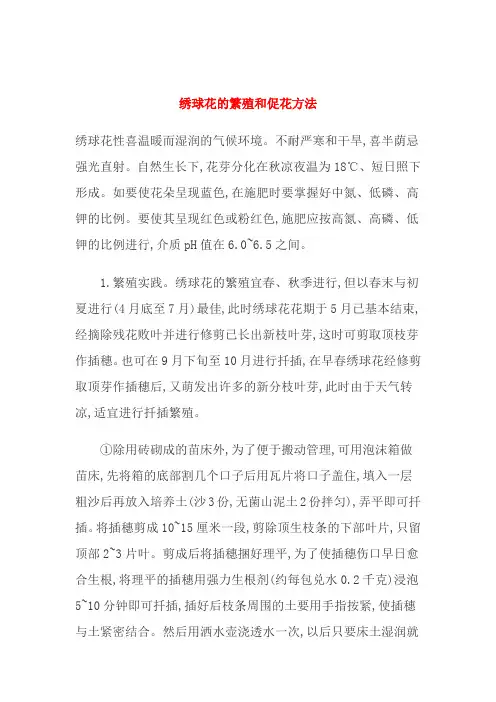 绣球花的繁殖和促花方法