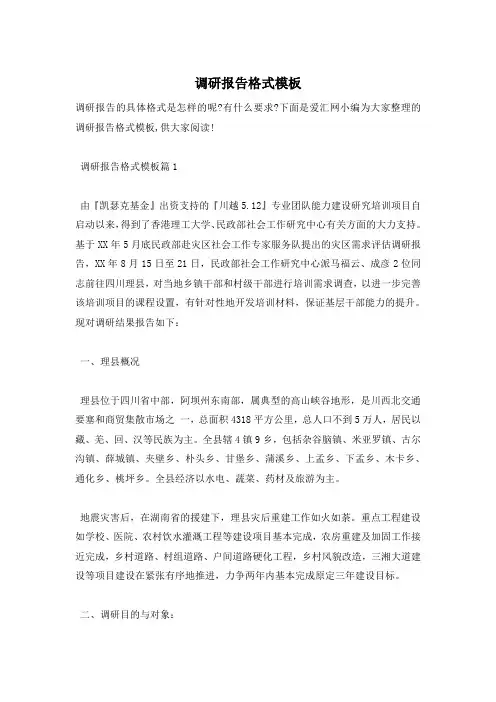 调研报告格式模板 2