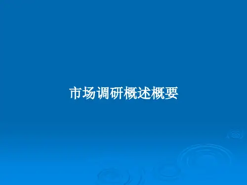 市场调研概述概要PPT教案