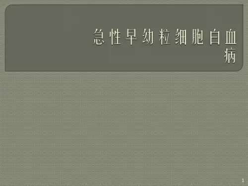 急性早幼粒细胞白精选PPT
