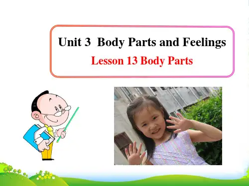 冀教版七年级英语上册 Unit 3 Lesson 13 Body Parts(共21张PPT)