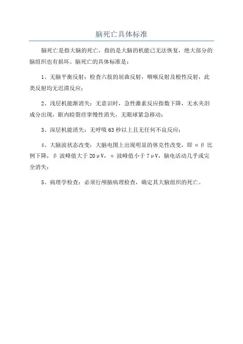 脑死亡具体标准