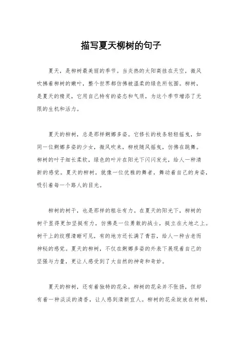 描写夏天柳树的句子