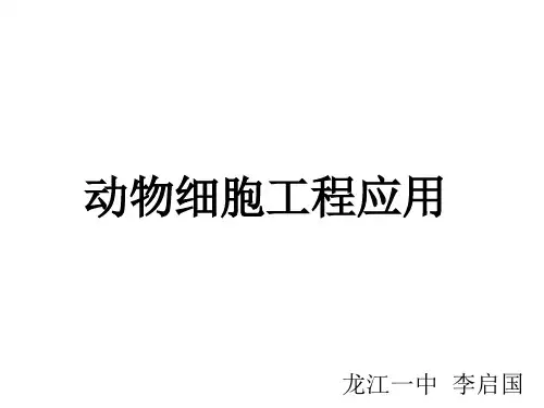 动物细胞工程PPT