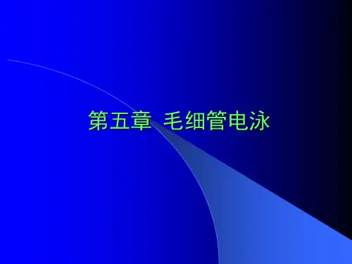 5现代色谱分析-毛细管电泳