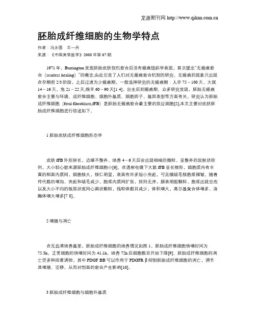 胚胎成纤维细胞的生物学特点