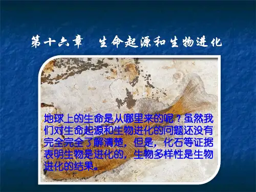 苏教版八年级上册生物第五单元第十六章《生命的诞生和生物进化的历程》复习课件(共52张PPT)