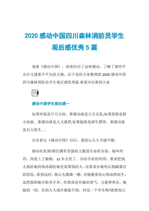 2020感动中国四川森林消防员学生观后感优秀5篇