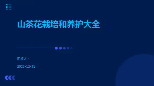 山茶花栽培和养护大全