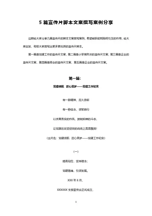 宣传片分镜头脚本文案范例
