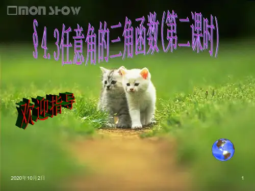 任意角的三角函数(第二课时)PPT课件
