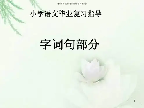 统编-部编人教版小升初语文总复习课件(字词句)