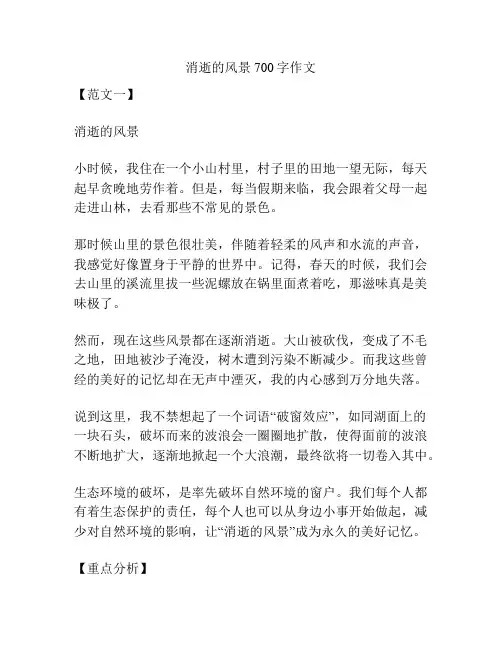 消逝的风景700字作文