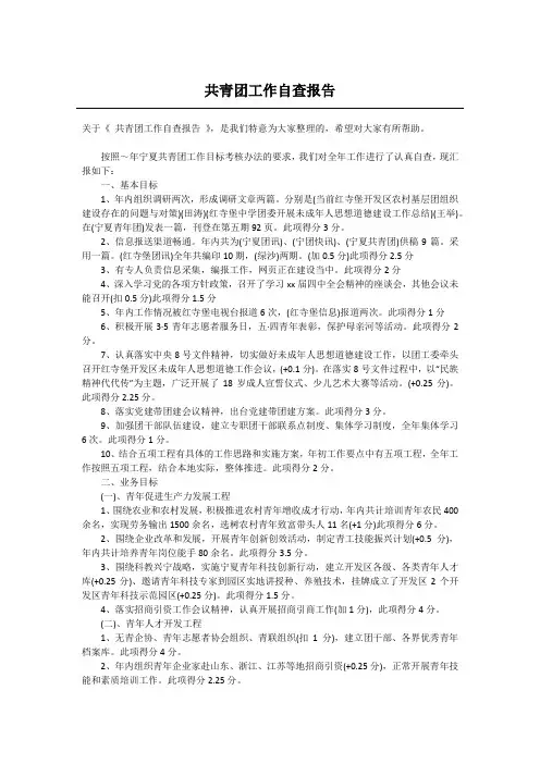 共青团工作自查报告