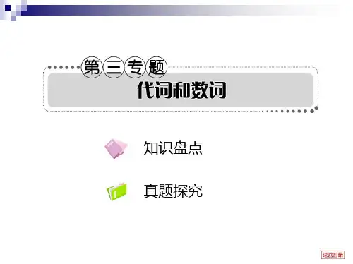 高考英语一轮复习语法专题精讲精练3：代词和数遍