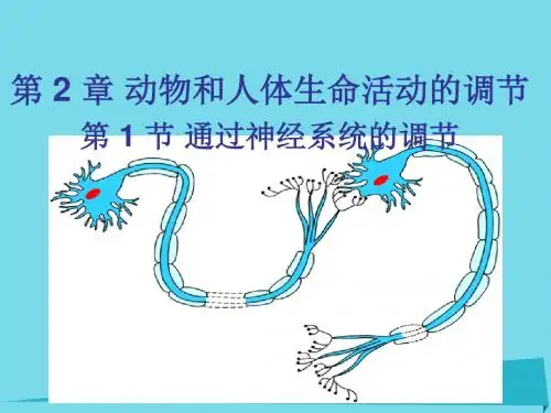 伊通满族自治高中生物第二章动物和人体生命活动的调节2.1通过神经系统的调节课件新人教版必修