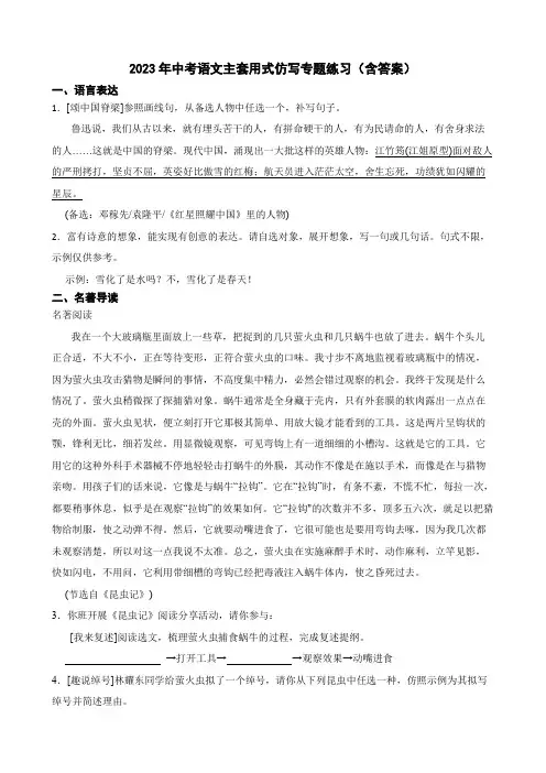 2023年中考语文主套用式仿写专题练习(含答案)