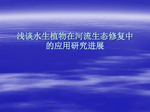 浅谈水生植物在河流生态修复中的应用研究进展