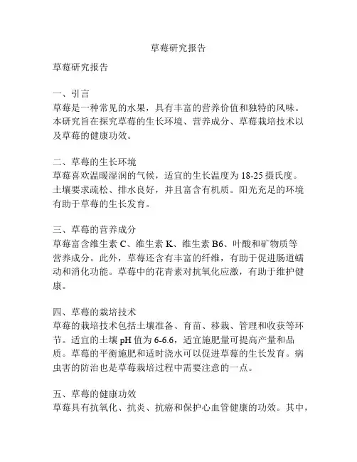 草莓研究报告