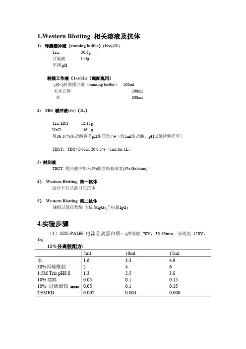 western-blot 通用配方