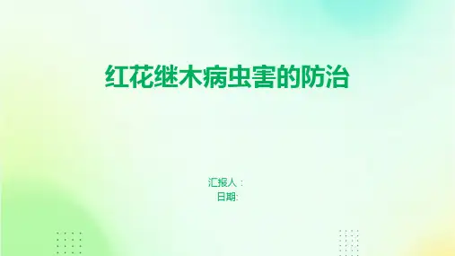 红花继木病虫害的防治