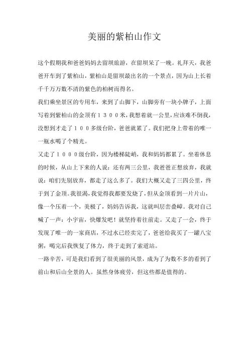 六年级叙事美丽的紫柏山作文