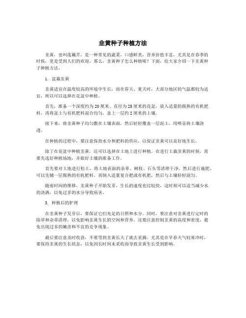 韭黄种子种植方法